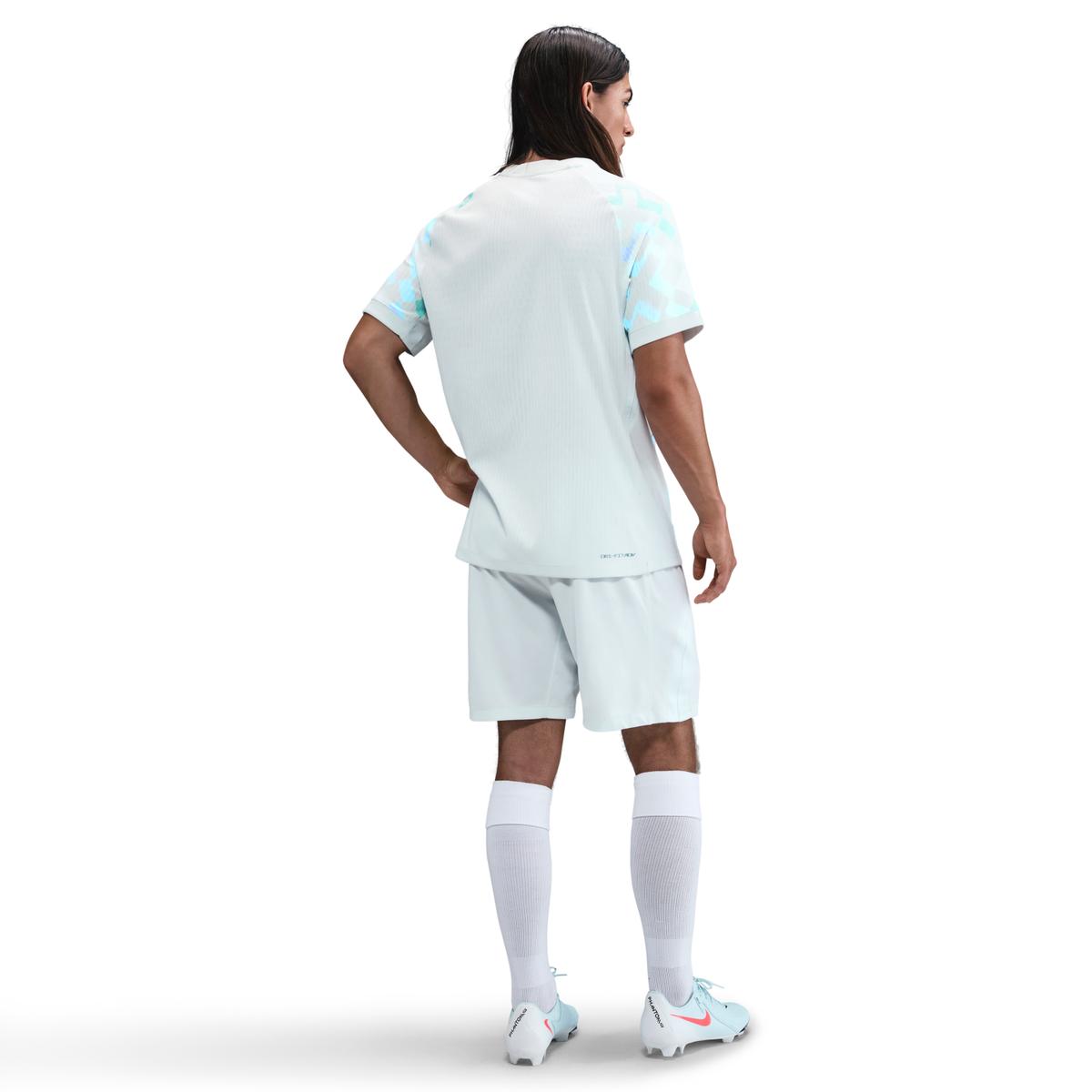 product/2/0/2025_nike_hj4675-496-phsbm001.jpg
