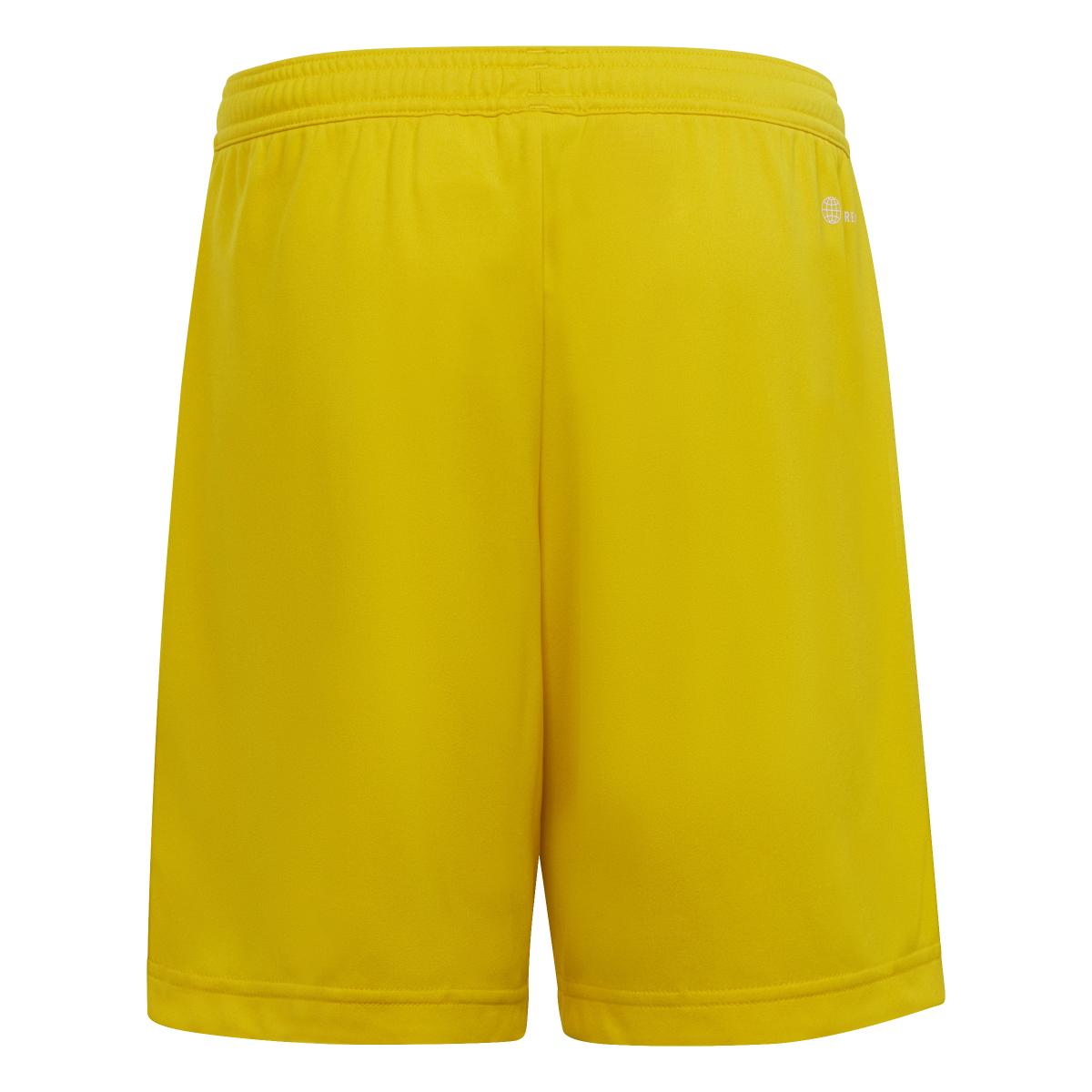 product/a/d/adidas_ic7411_3_apparel_photography_back_center_view_white.jpg