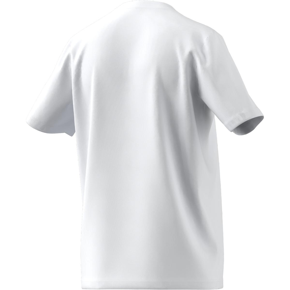 product/h/c/hc0452_app_virtual_back_white_1645115880.jpg