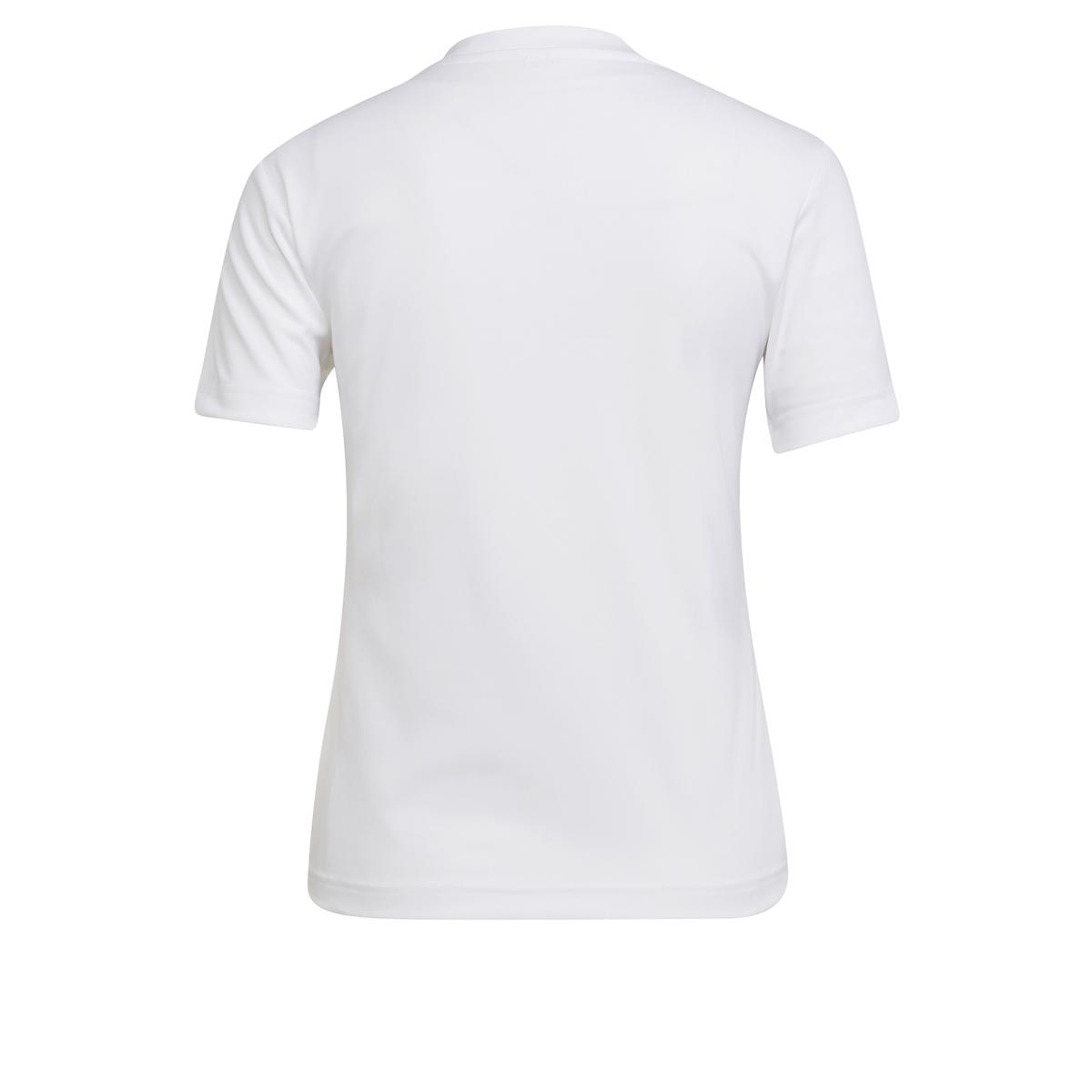 product/h/c/hc5074_app_photo_back-center_white_1645106202.jpg