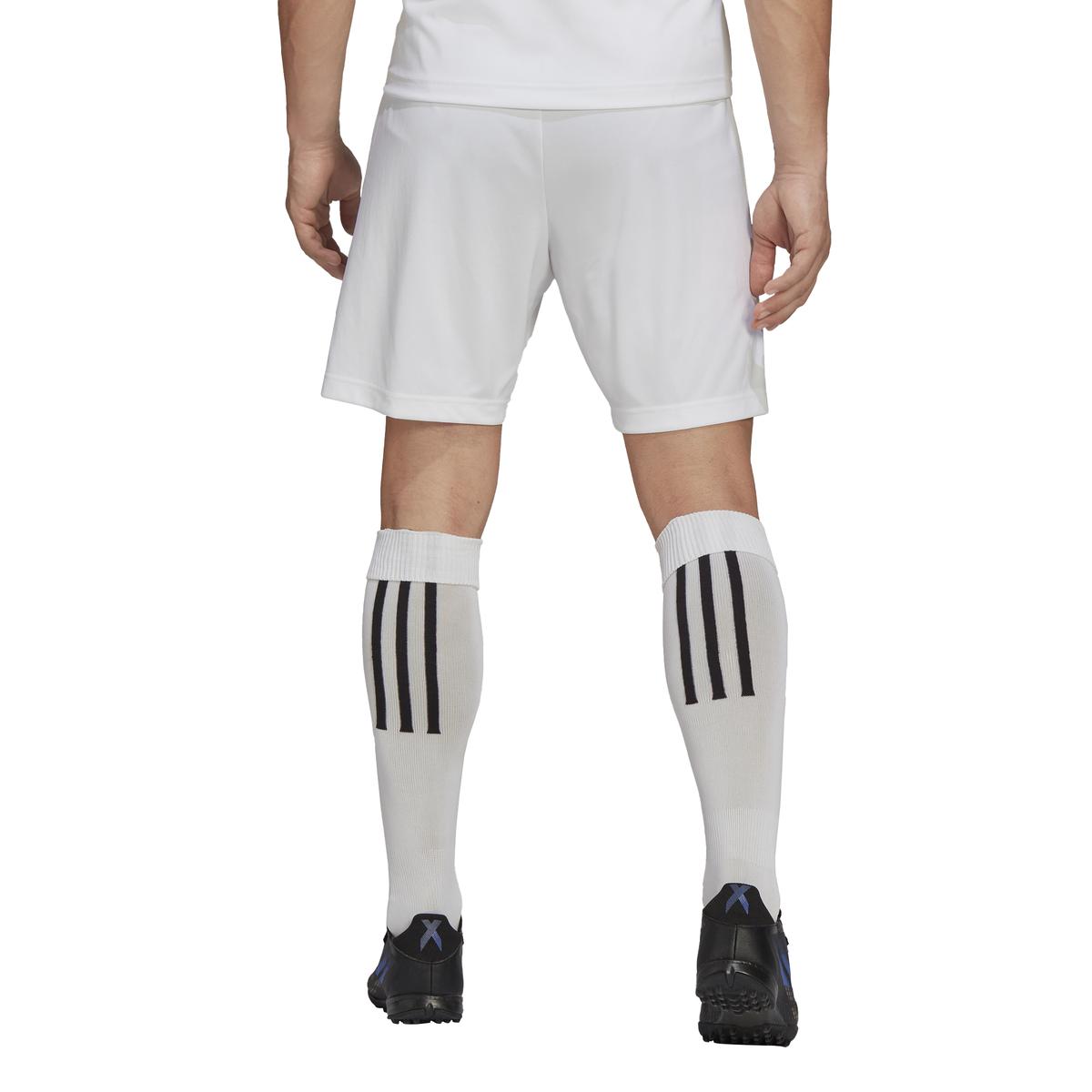 product/h/g/hg6295_app_on-model_back_white_1645109151.jpg
