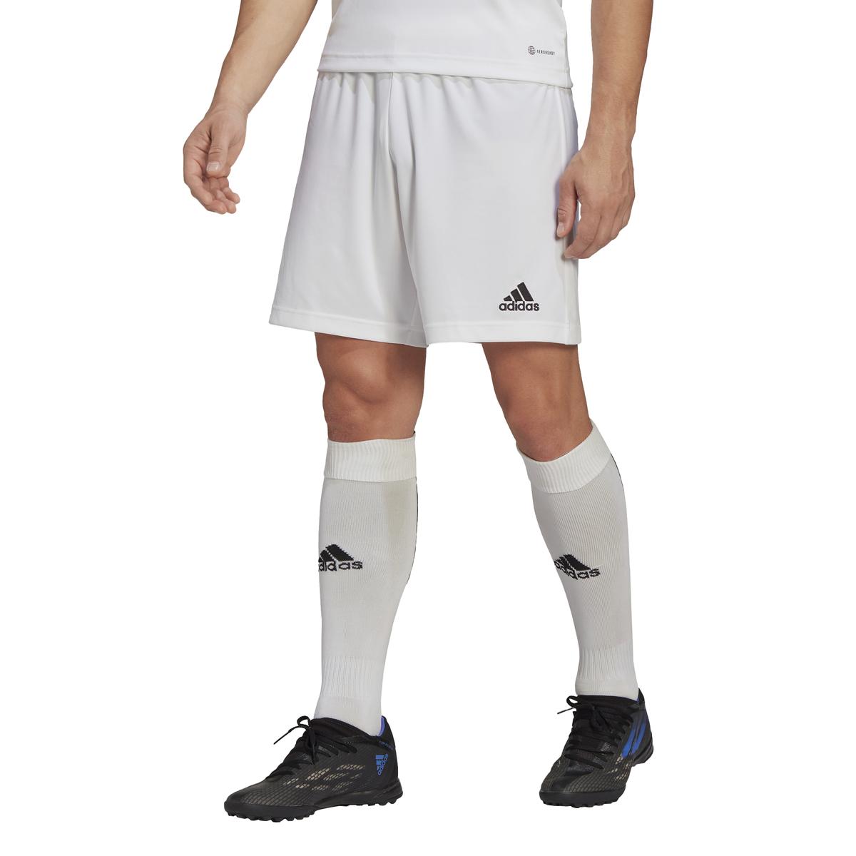 product/h/g/hg6295_app_on-model_standard_white_1645108467.jpg