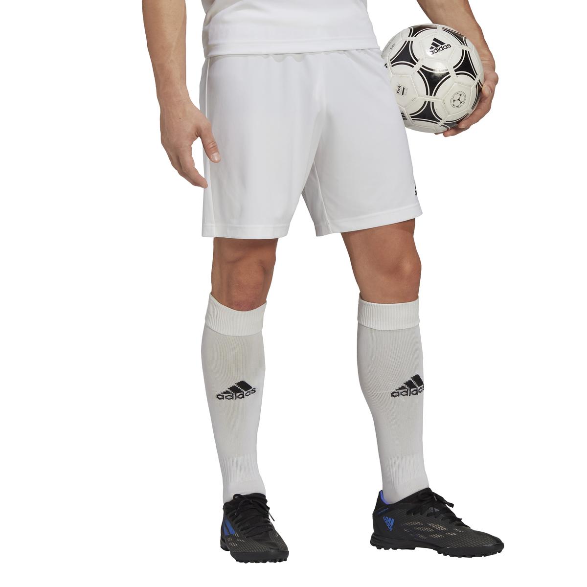 product/h/g/hg6295_app_on-model_walking_white_1645108616.jpg