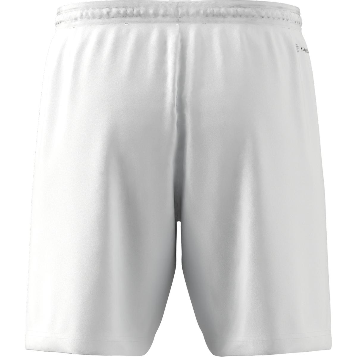 product/h/g/hg6295_app_virtual_back-center_white_1645110984.jpg