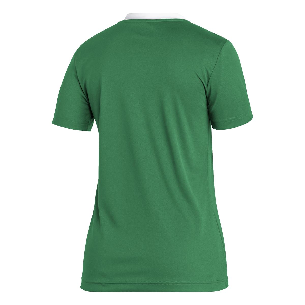 product/h/i/hi2124_app_virtual_back_white_1645116319.jpg