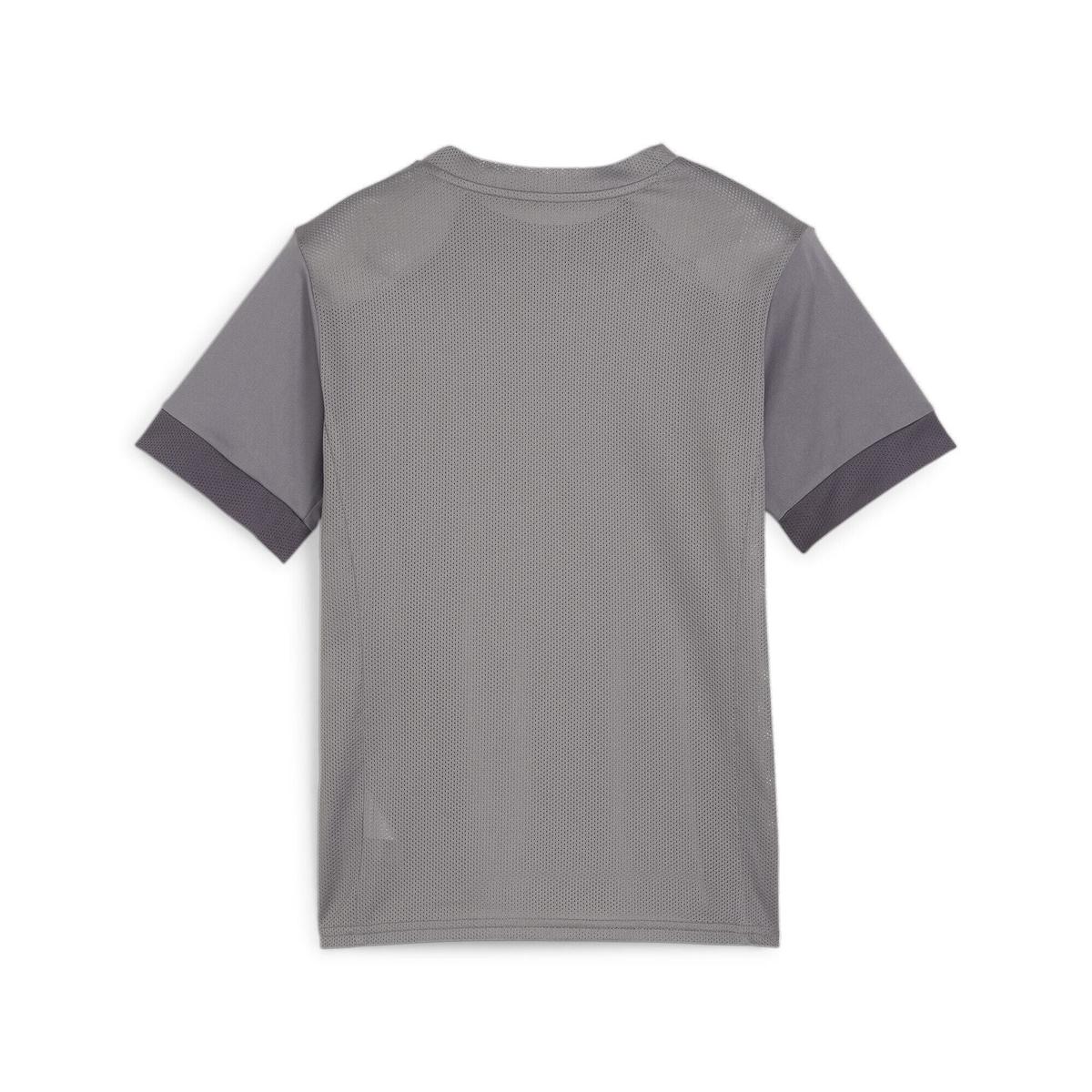 product/p/u/puma_705748-13_gray_2.jpg