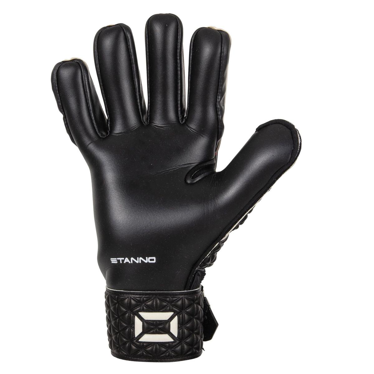 product/s/t/stanno_481373-8620_2.jpg