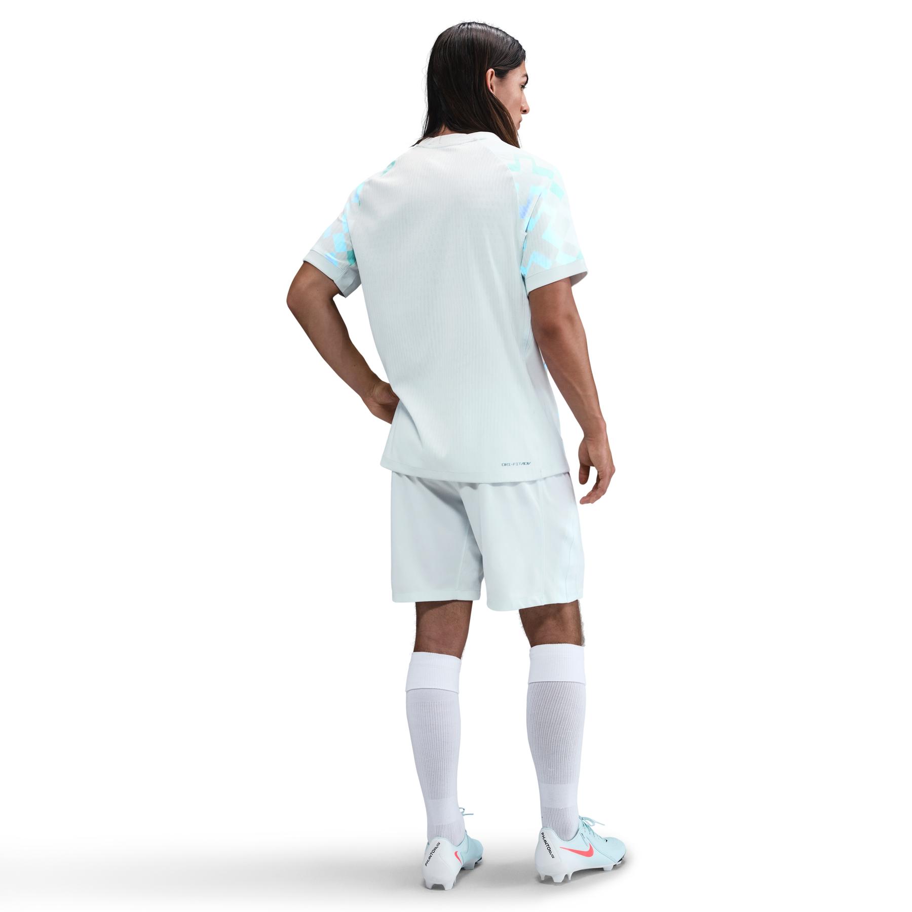 product/2/0/2025_nike_hj4675-496-phsbm001.jpg