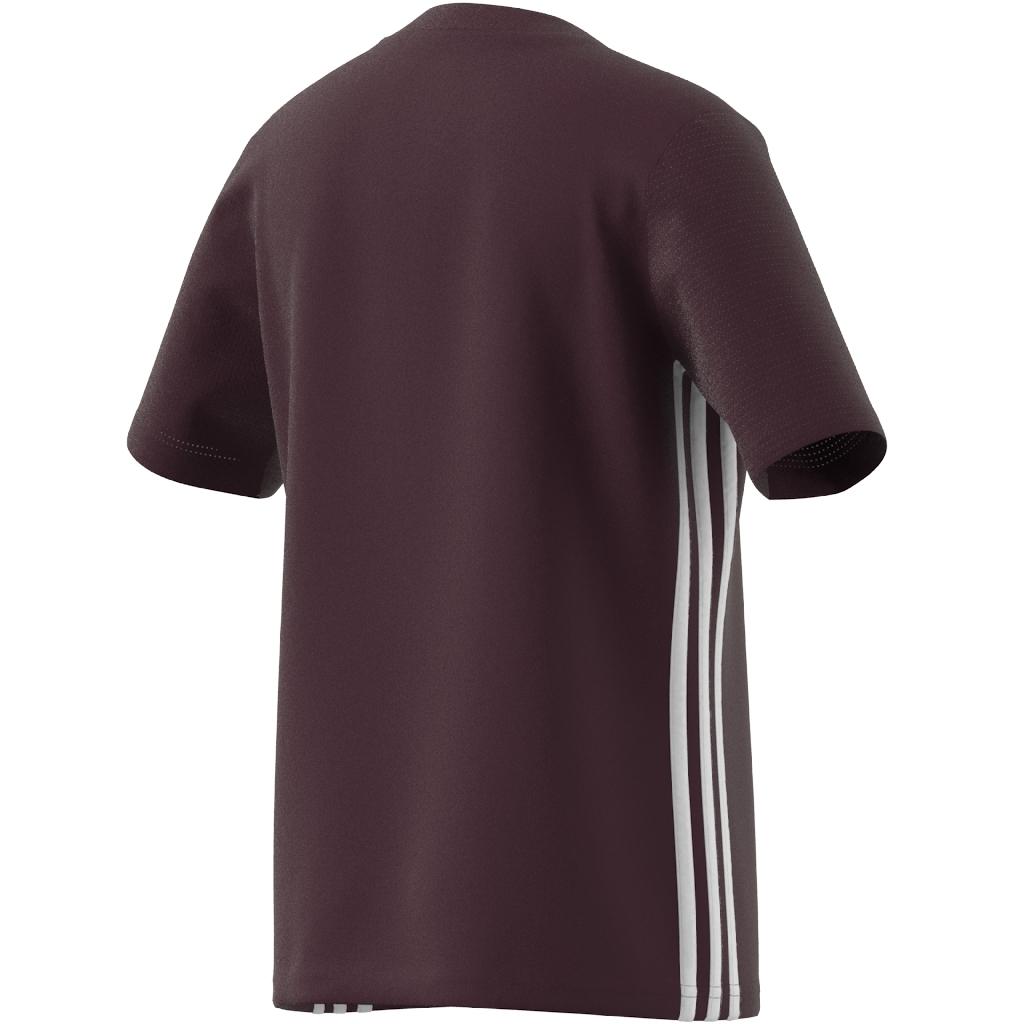 product/a/d/adidas_ib4933_7_apparel_zip_-_turntable_3d-4_white.jpg