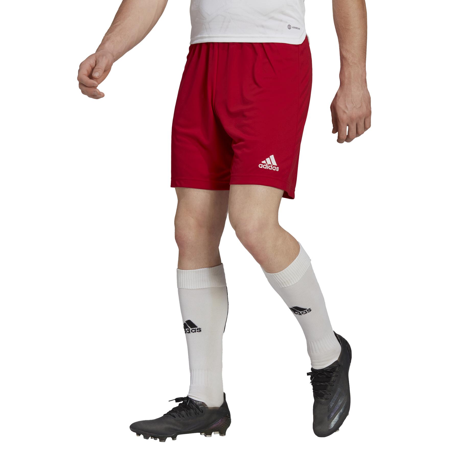 product/h/6/h61735_app_on-model_standard_white_1645111415.jpg