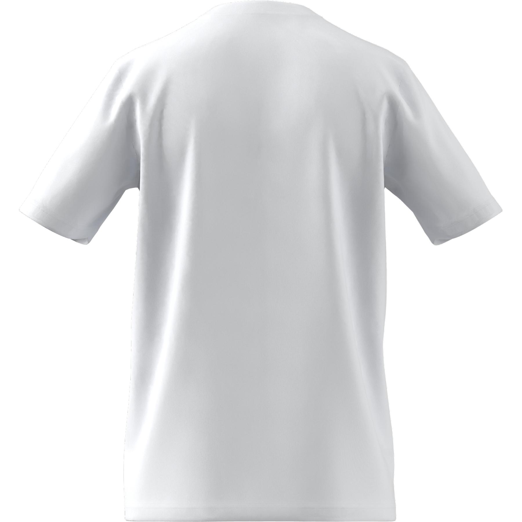 product/h/c/hc0452_app_virtual_back-center_white_1645105838.jpg