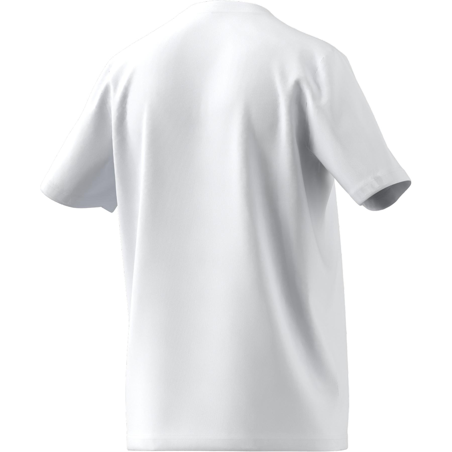 product/h/c/hc0452_app_virtual_back_white_1645115880.jpg