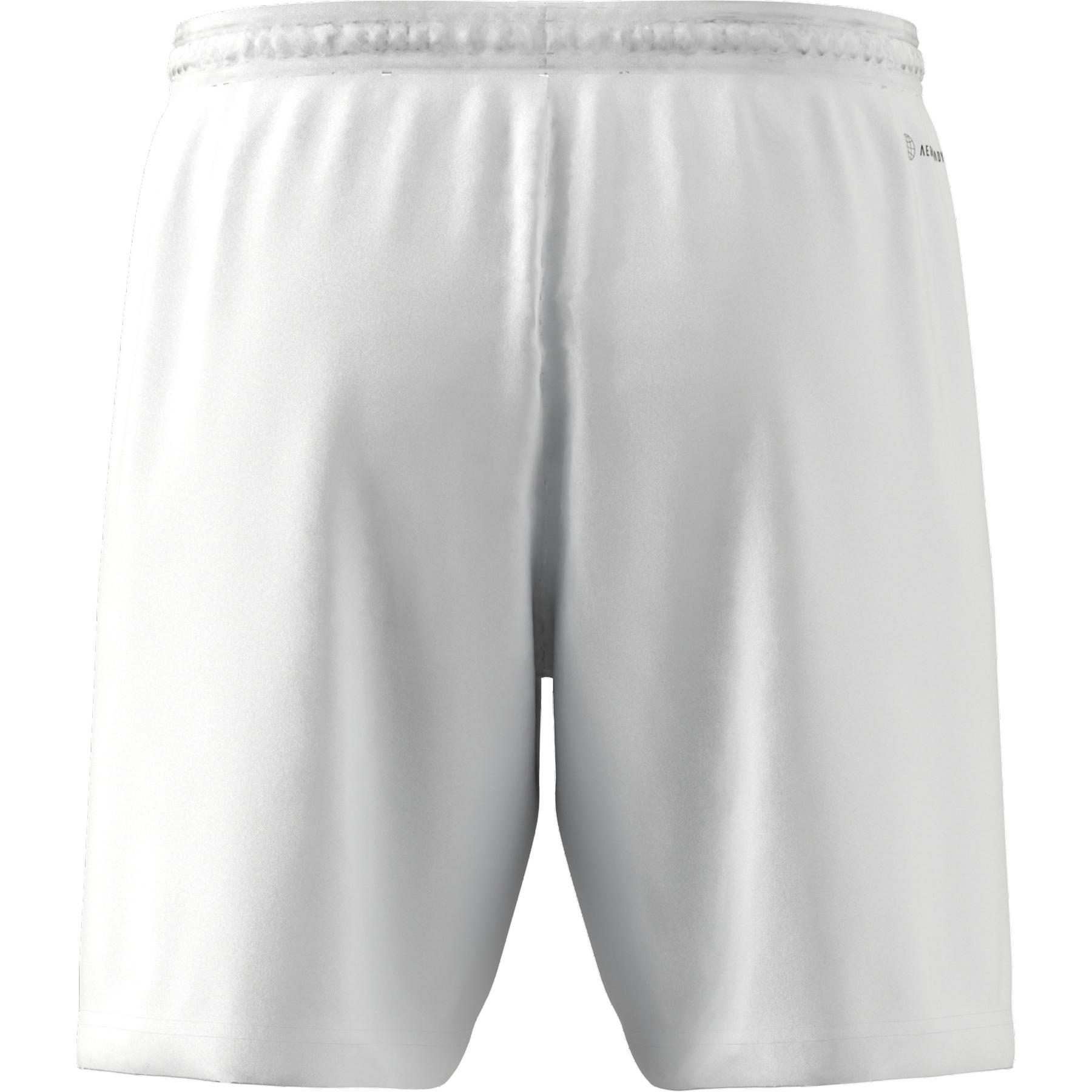 product/h/g/hg6295_app_virtual_back-center_white_1645110984.jpg