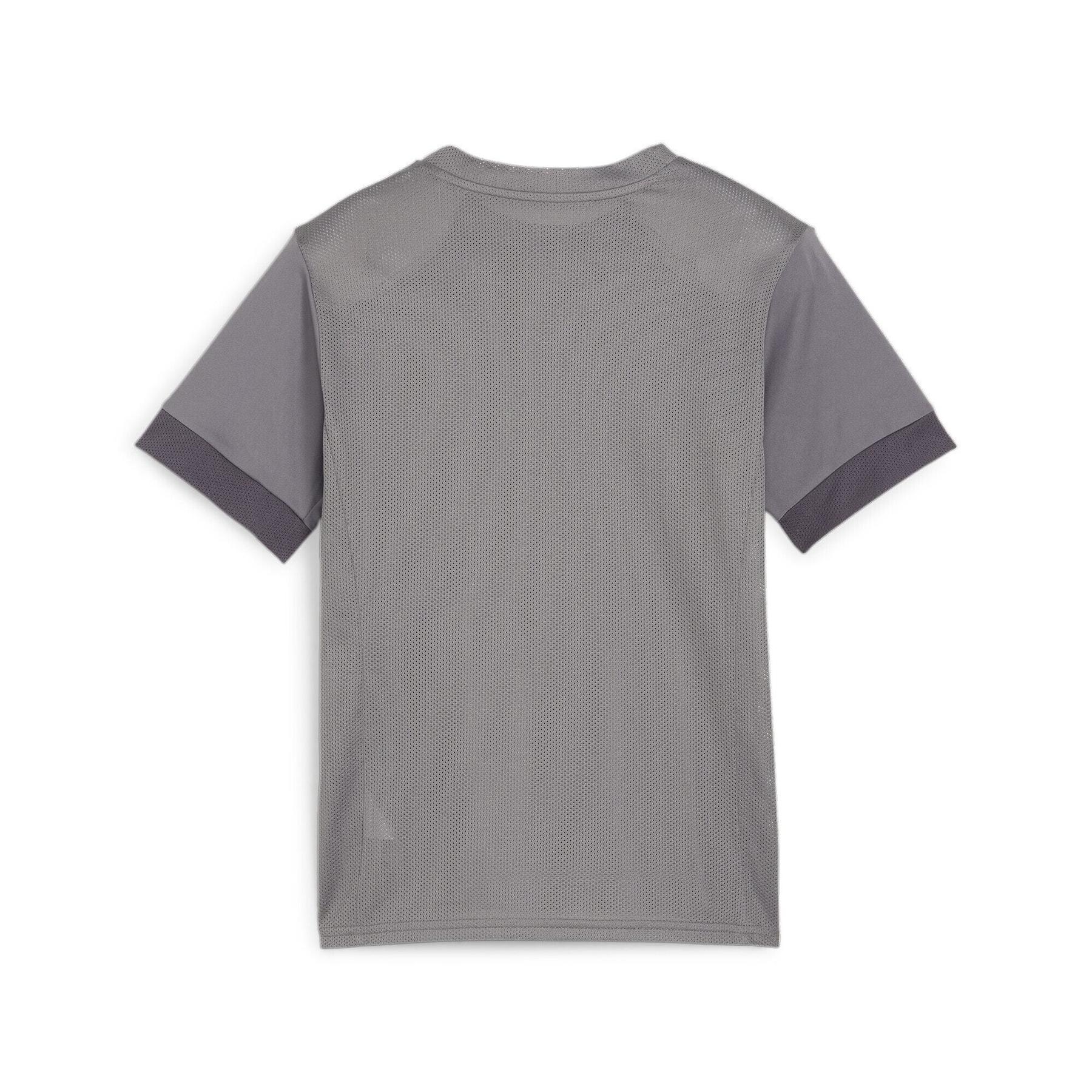 product/p/u/puma_705748-13_gray_2.jpg