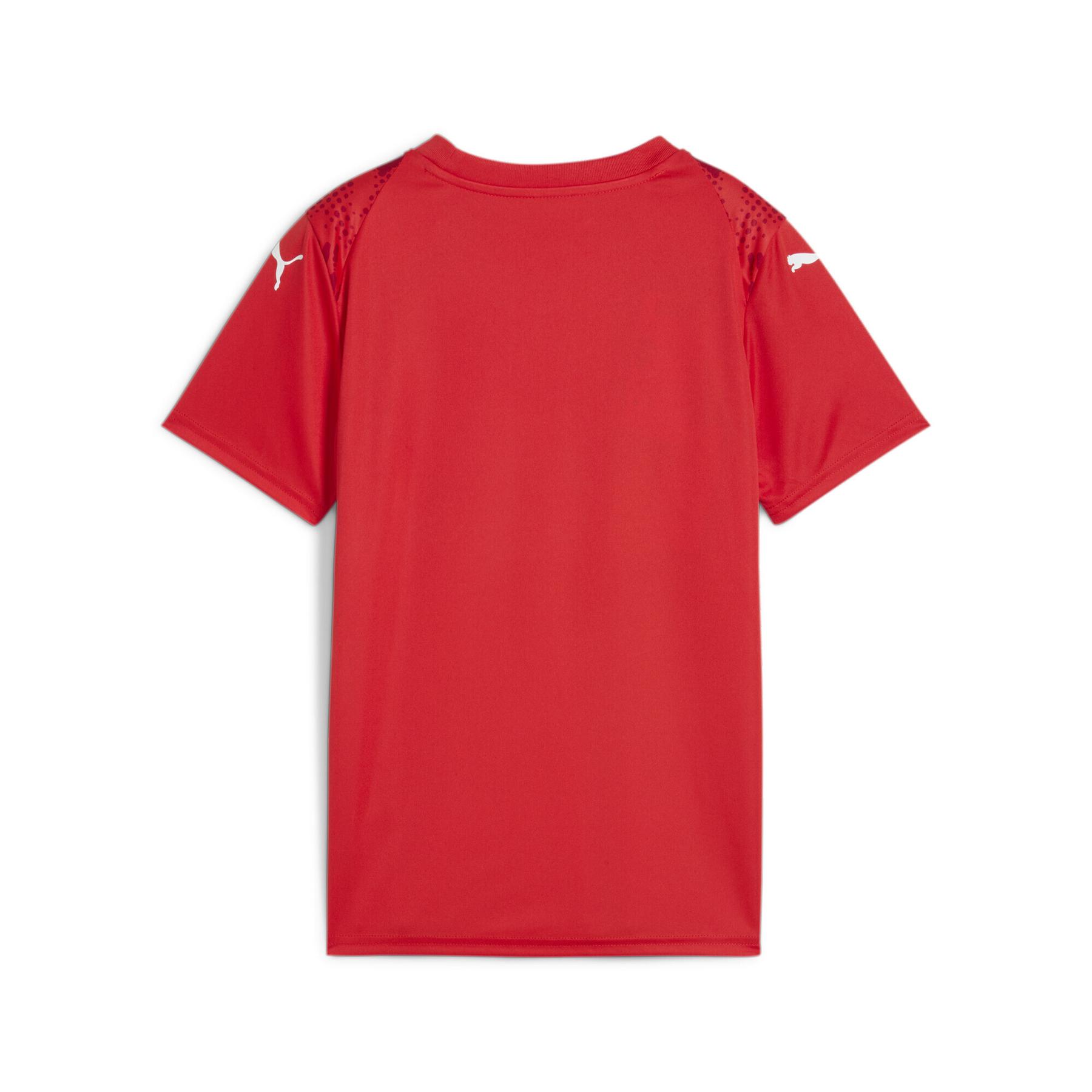 product/p/u/puma_706282-01_red_1.jpg