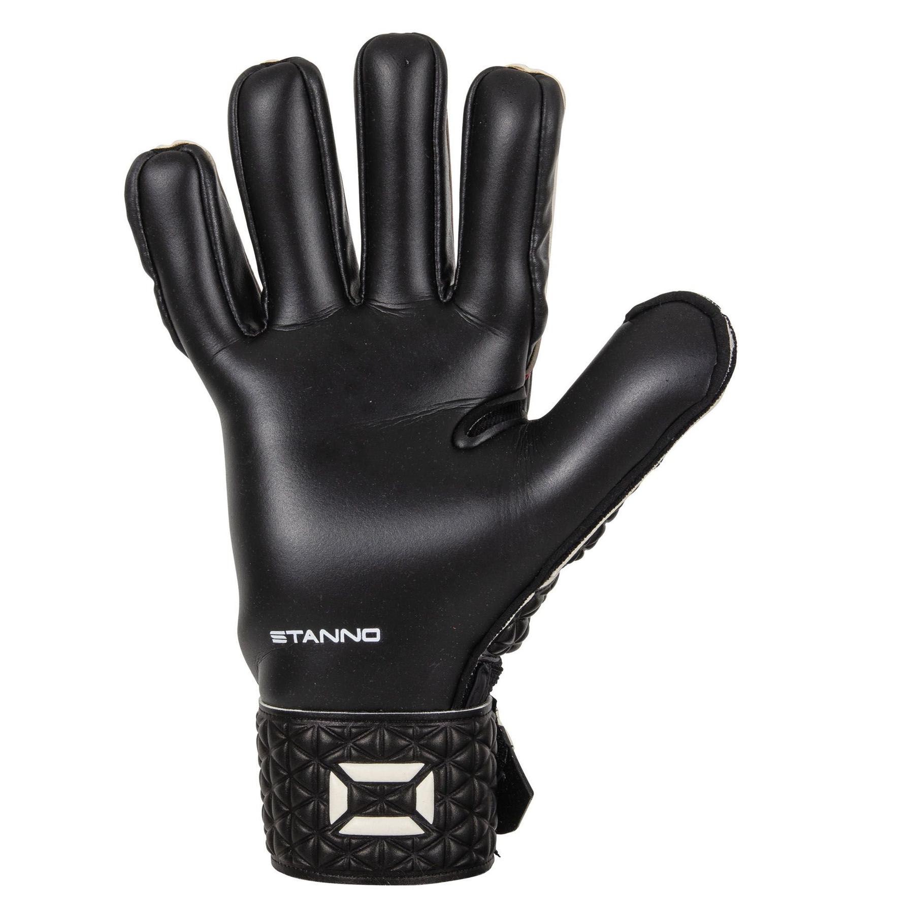 product/s/t/stanno_481373-8620_2.jpg