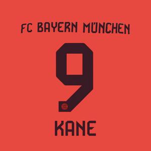 marking-002689-flocking-home-bayern-munich-bundesliga-kane-9-2024-25-brown