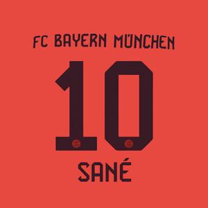 marking-002696-flocking-home-bayern-munich-bundesliga-sane-10-2024-25-brown