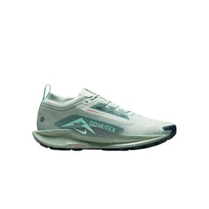 fq0908-013-trail-running-shoes-nike-pegasus-trail-5-gore-tex-light-silver-seaweed-clay-green