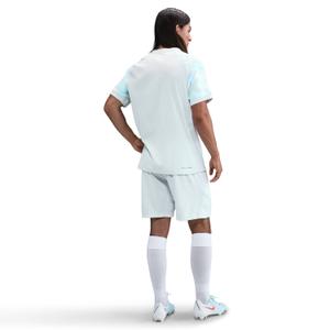 product/2/0/2025_nike_hj4675-496-phsbm001.jpg