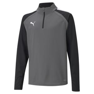 657237-13-sweatshirt-child-puma-team-liga-grey-white