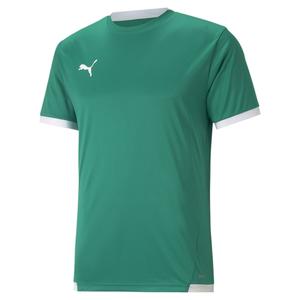 704917-05-jersey-puma-team-liga-spruce-green-white
