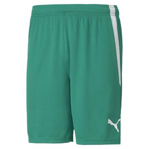 704924-05-short-puma-team-liga-spruce-green-white