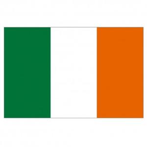 flag-fan-shop-ireland-orange-white-green-one-size