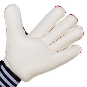 product/H/N/HN5611_4.jpg