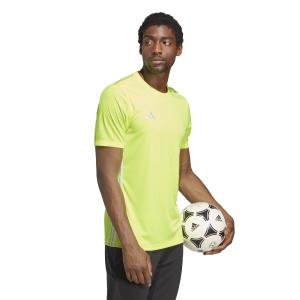 product/a/d/adidas_ib4925_7_apparel_on_model_walking_view_white.jpg