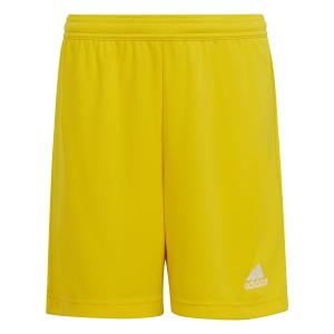 product/a/d/adidas_ic7411_2_apparel_photography_front_center_view_white.jpg