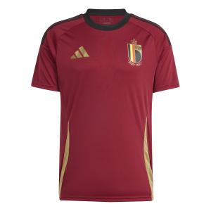 iq0771-jersey-belgique-fan-2023-team-coll-burgundy-2