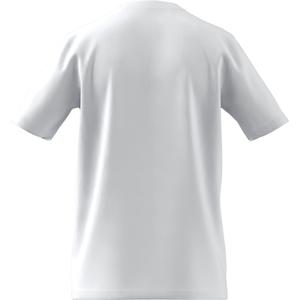 product/h/c/hc0452_app_virtual_back-center_white_1645105838.jpg