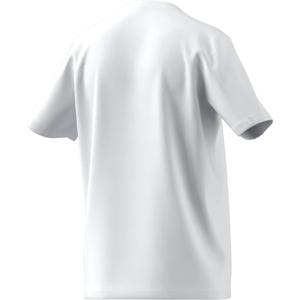 product/h/c/hc0452_app_virtual_back_white_1645115880.jpg