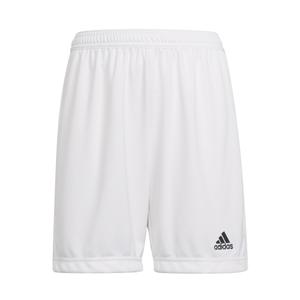 product/h/g/hg6292_app_photo_front-center_white_1645109604.jpg