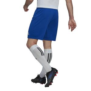 product/h/g/hg6294_app_on-model_back_white_1645106608.jpg