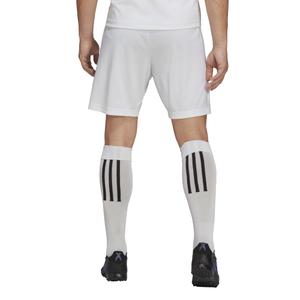 product/h/g/hg6295_app_on-model_back_white_1645109151.jpg