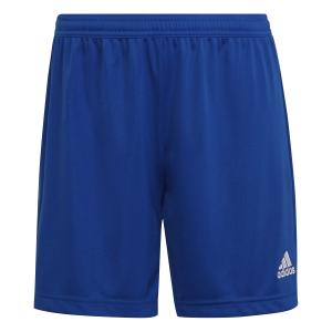 hh9998-women-s-shorts-adidas-entrada-22-royal-blue