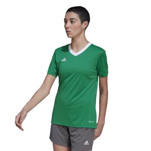 product/h/i/hi2124_app_on-model_standard_white_1645109966.jpg