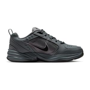 product/n/i/nike_415445-020-phsrh001.jpg