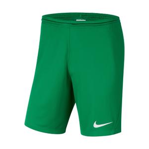 bv6865-302-children-s-shorts-nike-dri-fit-park-iii-pine-green-white