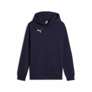 658619-06-puma-teamgoal-kids-hoodie-blue