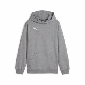 658619-33-puma-teamgoal-kids-hoodie-gray
