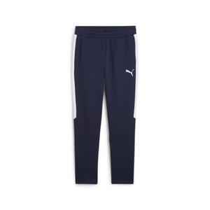 659948-06-trousers-puma-team-evostripe-blue