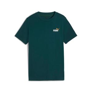 685779-75-kid-s-t-shirt-puma-logo-n-1-green-terrain