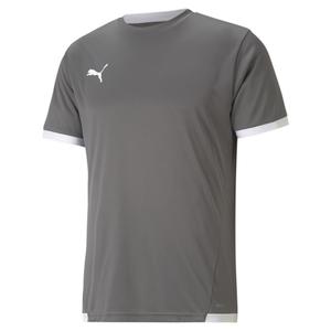 704917-13-jersey-puma-teamliga-grey-white