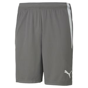 704924-13-short-puma-team-liga-grey-white