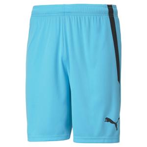 704924-40-short-puma-team-liga-dark-blue