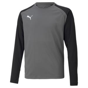 704939-43-long-sleeve-goalie-jersey-puma-team-pacer-gray-black-white