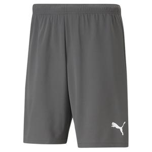 704942-13-short-puma-team-rise-grey-white